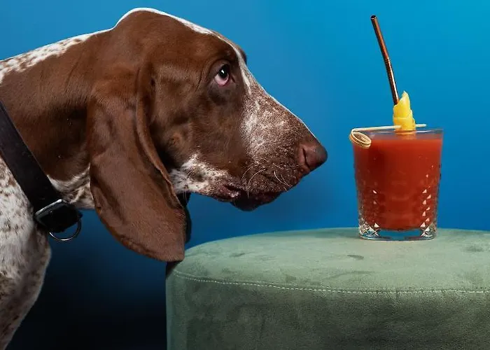 73 Boutique Όπως